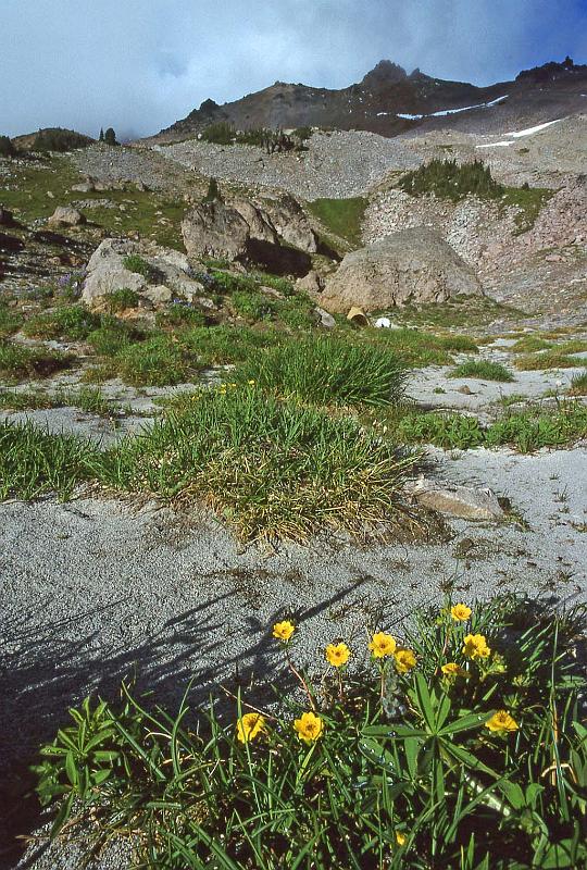 1996-09 Goat Rocks BkPk w Jeanne Steve 08.jpg
